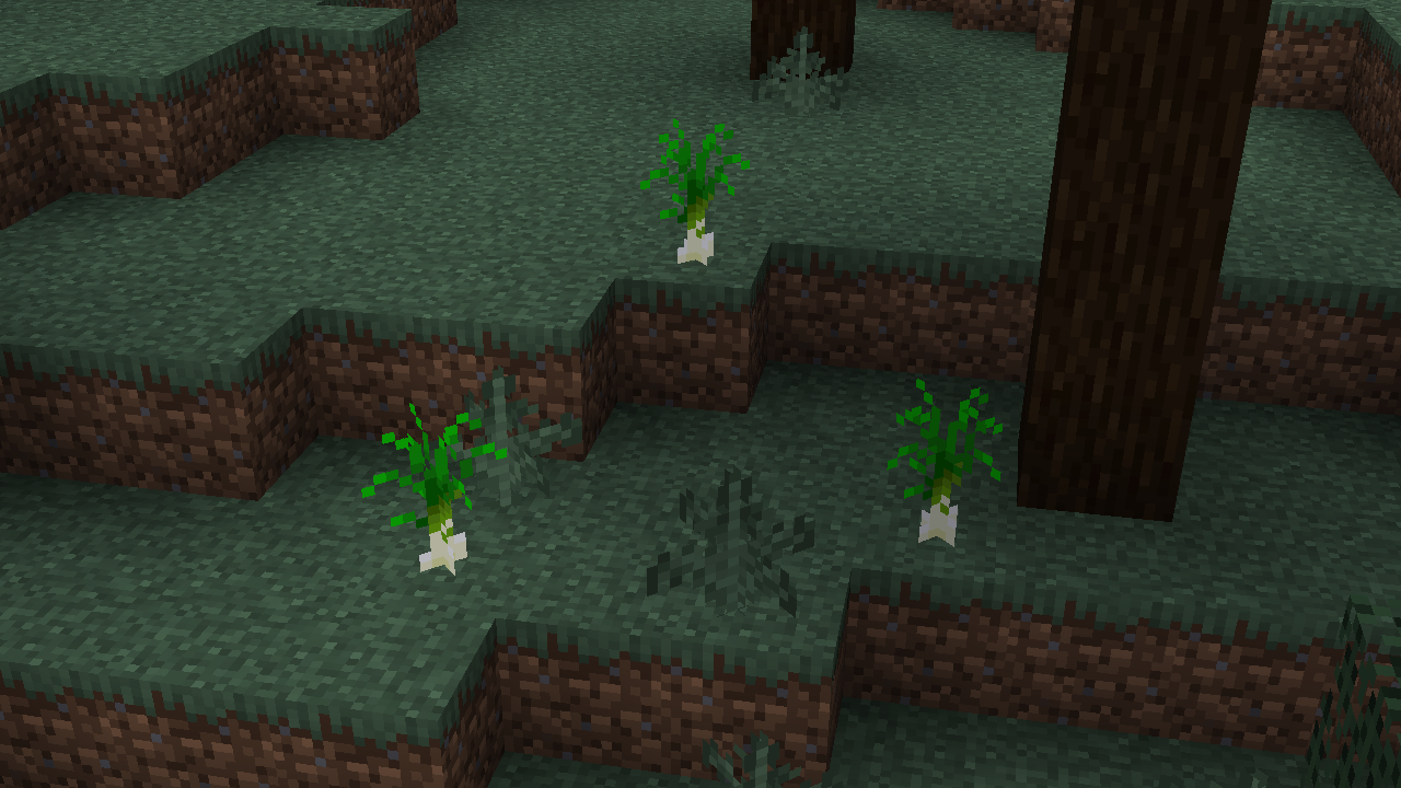 Leek Crops found in a taiga forest